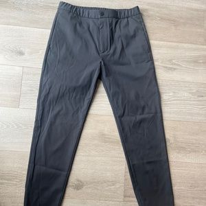 Mens Theory pants